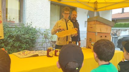 Laboratorio