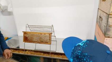 Laboratorio