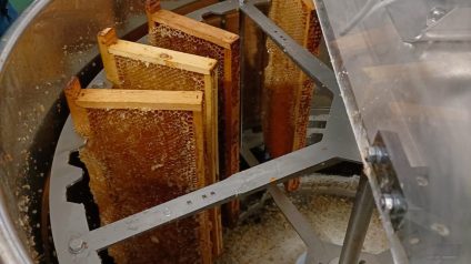 Laboratorio