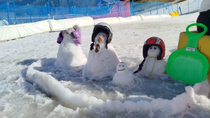 IMG-20250227-WA0009