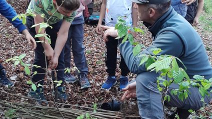 Festa degli alberi (3)