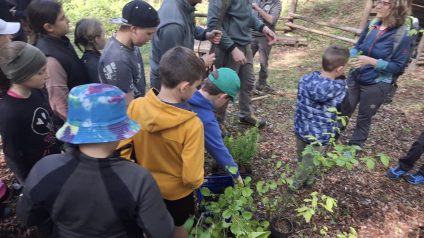 Festa degli alberi 5