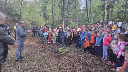 Festa degli alberi 8