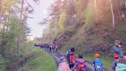 Festa degli alberi 10