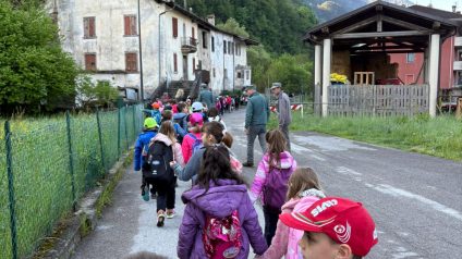 Festa degli alberi 14