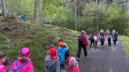 Festa degli alberi 17