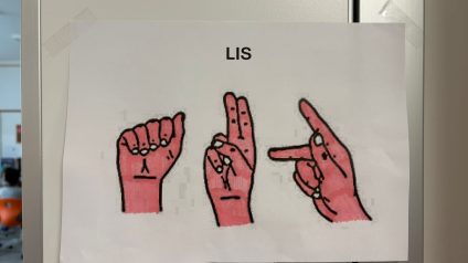 lingue 6