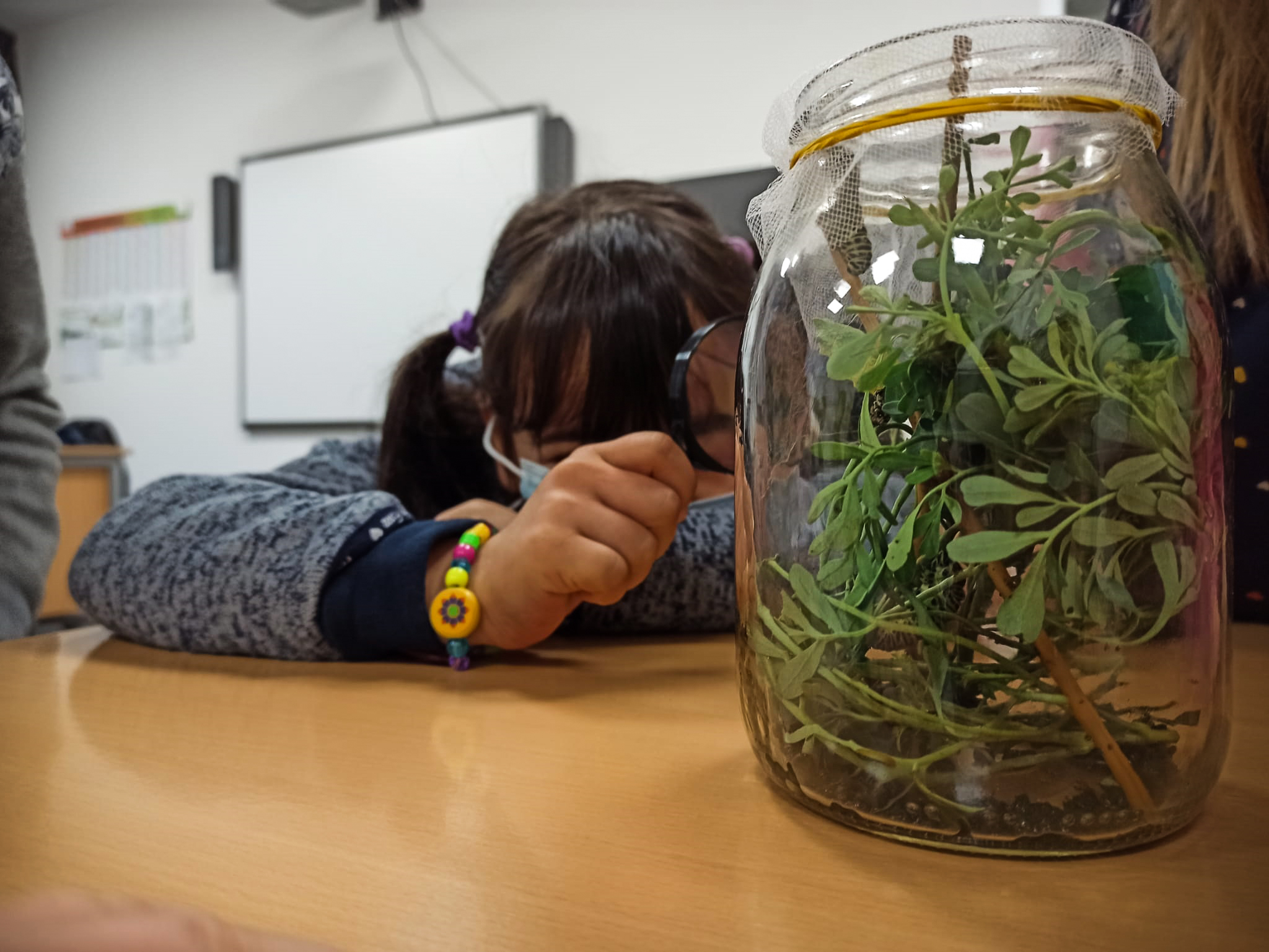 Immagine di Benvenuta primavera