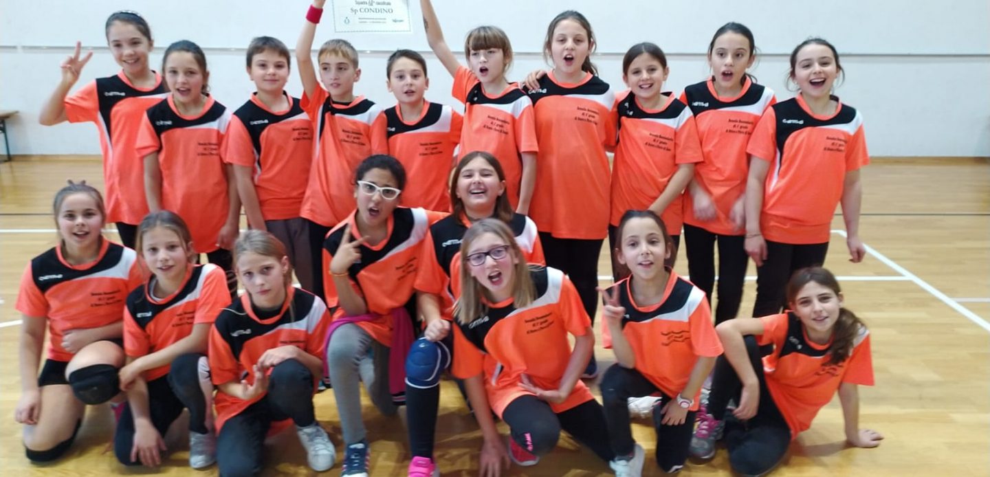 Immagine di Promovolley