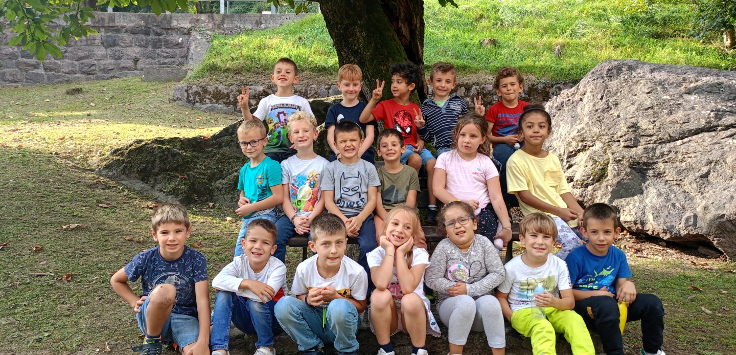 Immagine di Progetto frutteto