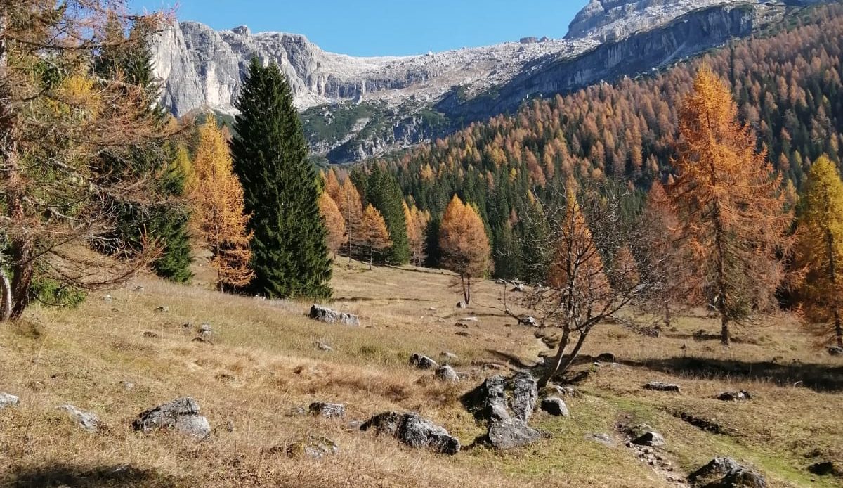 Immagine di Il patrimonio geomorfologico del Parco Adamello Brenta