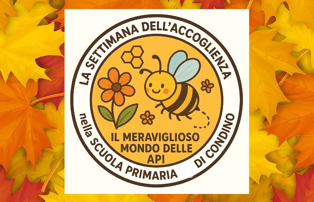 Immagine di PhotoEditor_2025103135616696