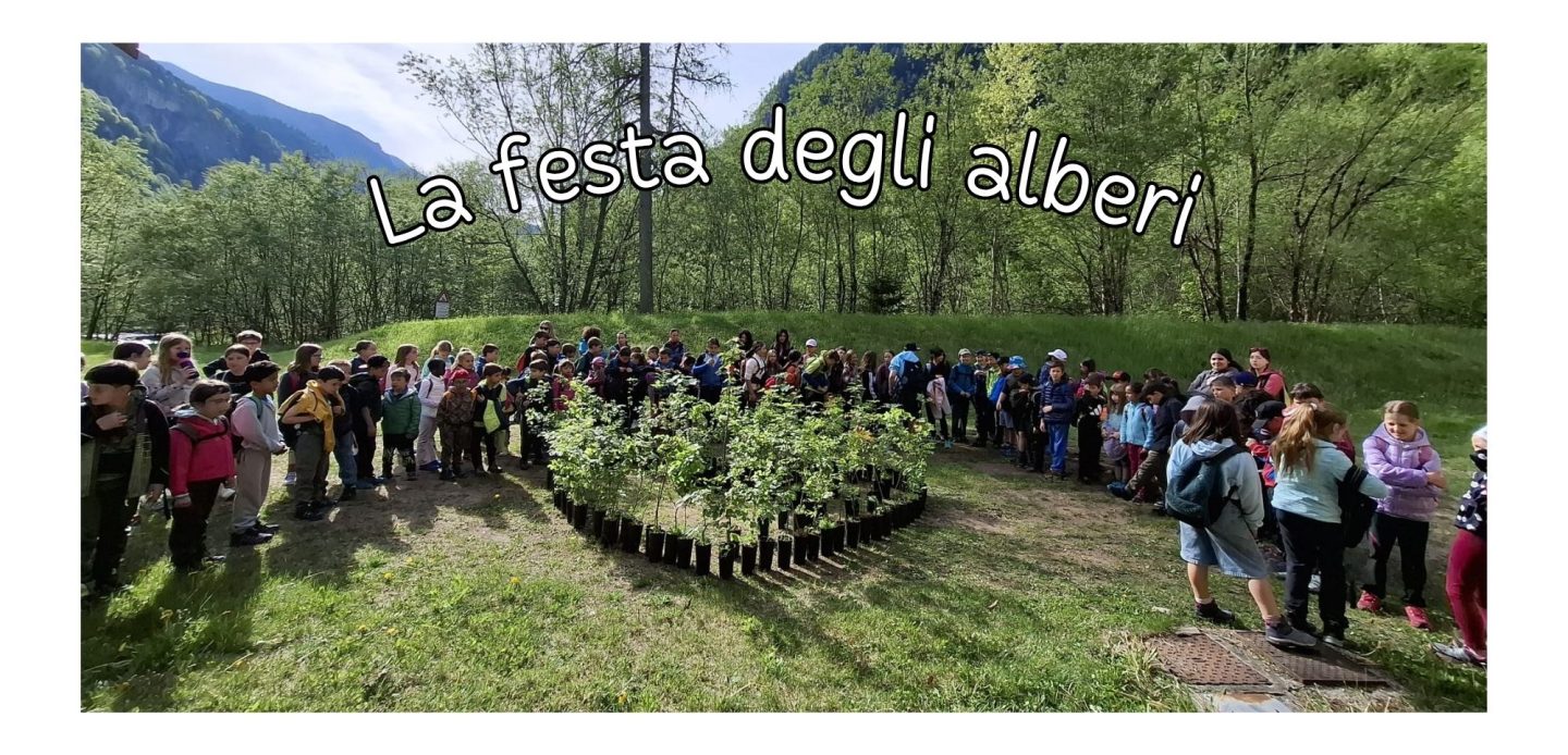 Immagine di La festa degli alberi
