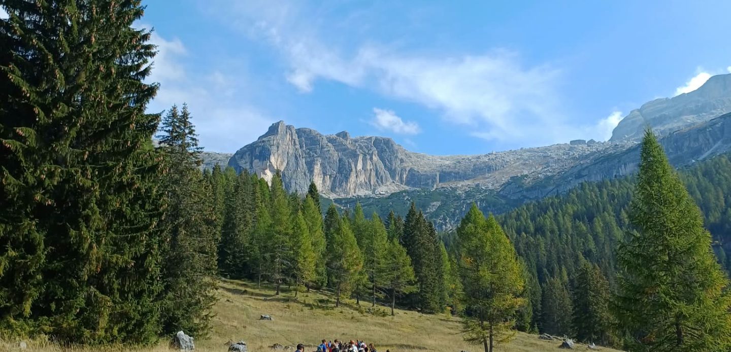 Immagine di PNAB26_3
