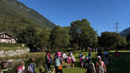 Immagine di Accoglienza 6