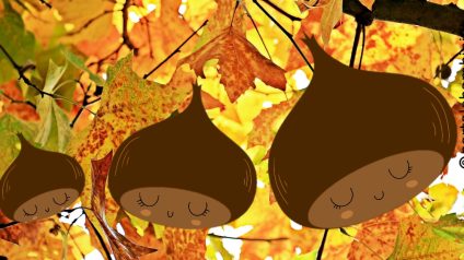 Immagine di castagne-da-colorare