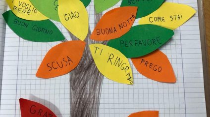 Immagine di 2ca879d7-4e76-4c8b-9201-c7c593ca119c