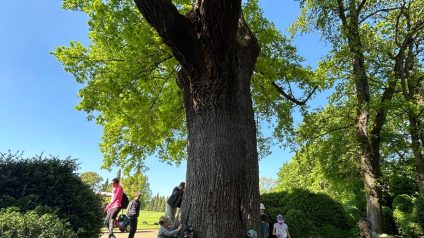 Immagine di Parco Sigurtà