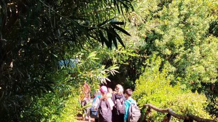 Immagine di Parco Sigurtà