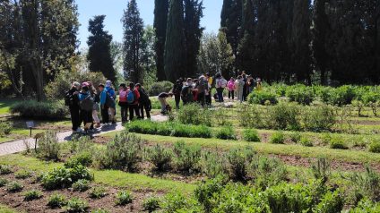 Immagine di Parco Sigurtà