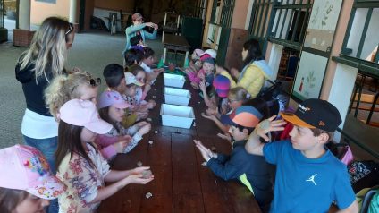 Immagine di Parco Sigurtà