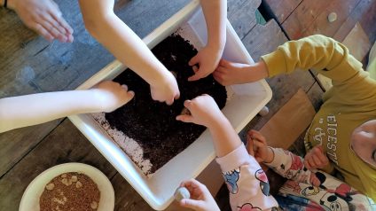 Immagine di Parco Sigurtà