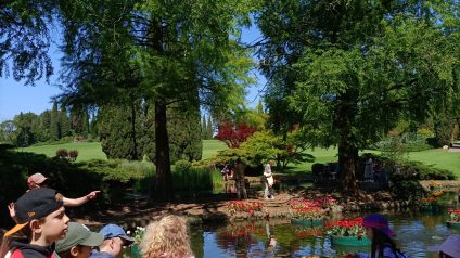 Immagine di Parco Sigurtà