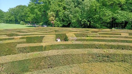 Immagine di Labirinto Parco Sigurtà