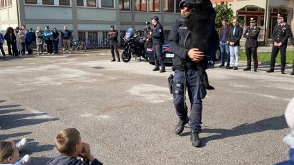 Immagine di IMG_4053