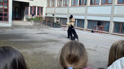 Immagine di IMG_4063