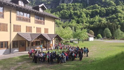 Immagine di Festa degli alberi 1