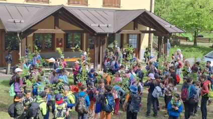Immagine di Festa degli alberi 2