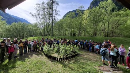Immagine di Festa degli alberi 3