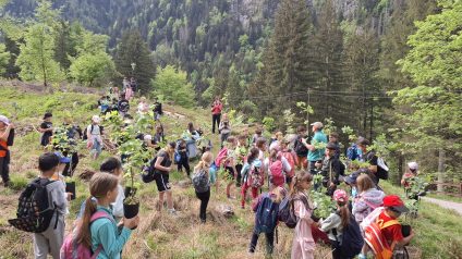 Immagine di Festa degli alberi 4