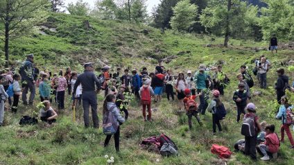Immagine di Festa degli alberi 5