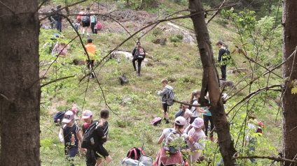 Immagine di Festa degli alberi 8