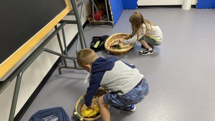 Immagine di IMG_4319