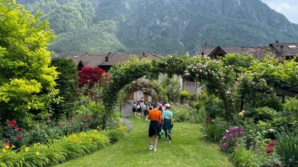 Immagine di 6dff592c-8ed9-4114-9c2f-2848db7126a7