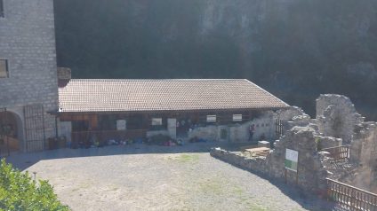 Immagine di Passo dopo passo, insieme: la scuola che fa squadra!