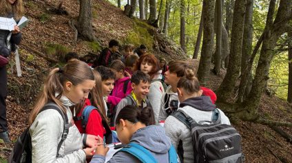 Immagine di PNAB26_2