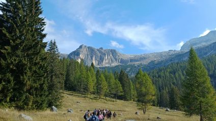 Immagine di PNAB26_3