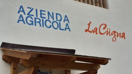 Immagine di Esploriamo il nostro territorio