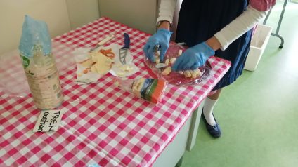 Immagine di Progetto “Dina la Contadina”