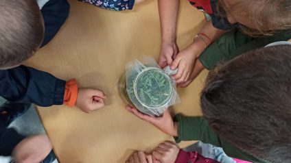 Immagine di Benvenuta primavera