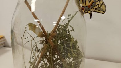 Immagine di Benvenuta primavera