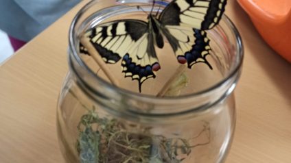 Immagine di Benvenuta primavera