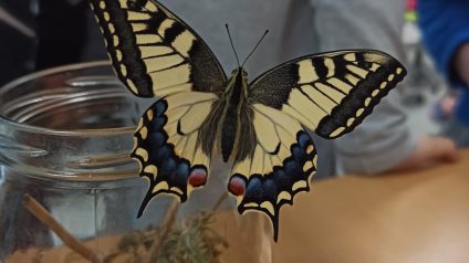 Immagine di Benvenuta primavera