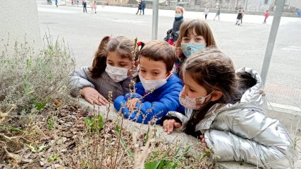 Immagine di Benvenuta primavera