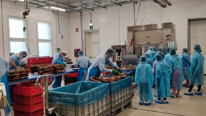 Immagine di Alla scoperta di un prodotto tipico del Trentino: lo speck