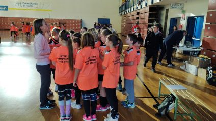 Immagine di Promovolley